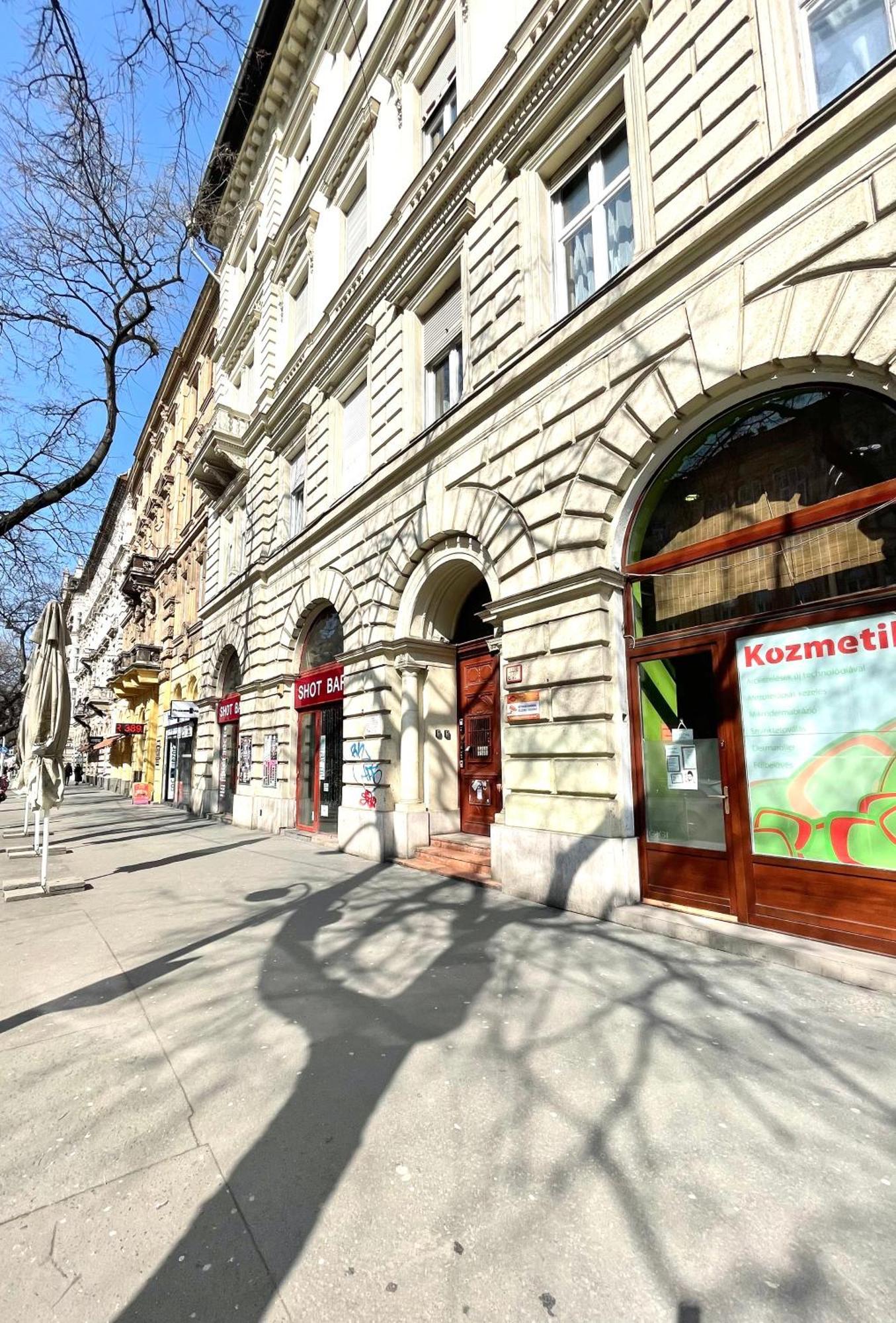 Amazing Swedish 3 Rooms Apartment In The City Center Budapest Ngoại thất bức ảnh